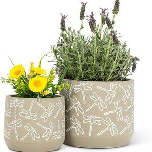 Abbott Collection Small Dragonfly Deboss Planter, Grey